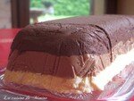 3_couches_de_mousse_au_choco