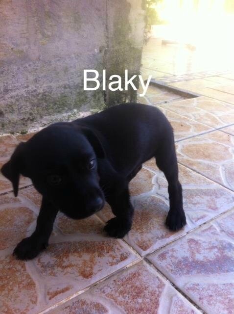 blaki