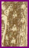 Abeille Dulos detail