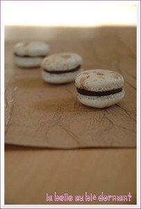 Macarons_2