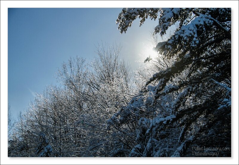 IMG_8254-1
