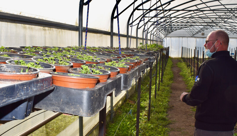 JARDINS SOLIDAIRES AVRIL 2021 serres