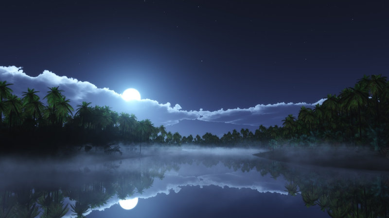 moon-light-night-time-palm-trees-body-of-water-reflection-1502x845-4053