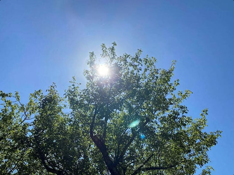 2022 06 16 of canicule