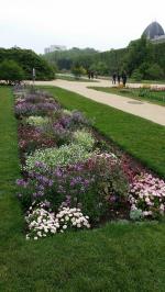 Jardin des plantes de Paris