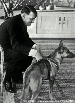 Hitler son chien