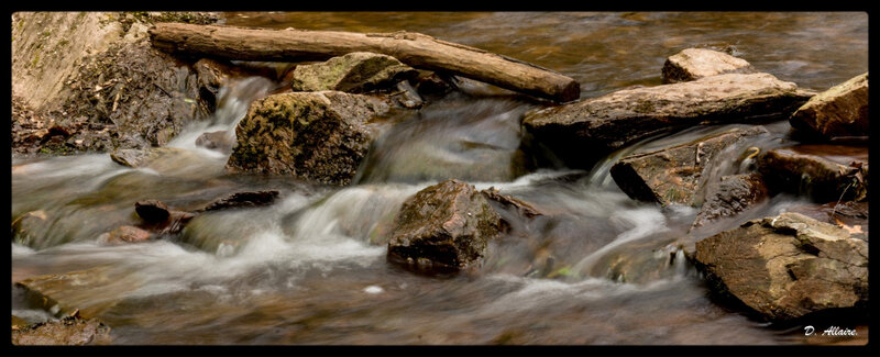 Brocéliande 4 (Large)