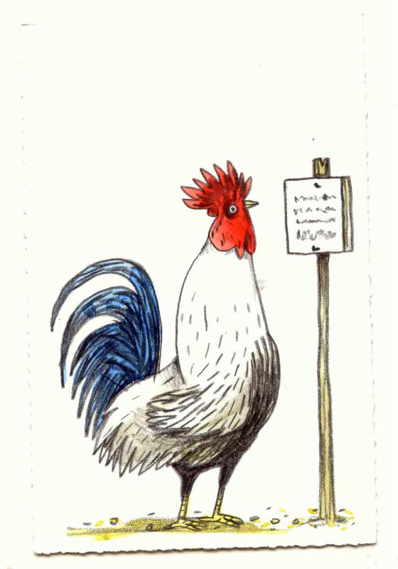 coq
