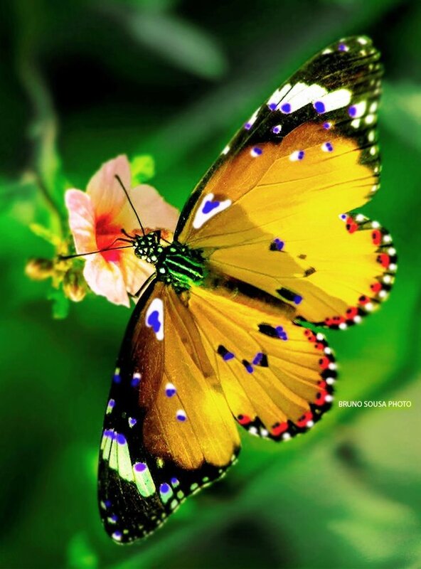 942fc224f70044492fd0cb4b2b9d4ab9