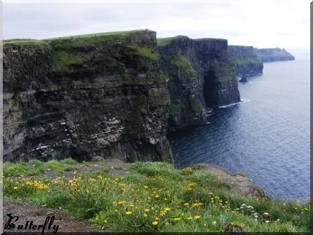 Moher1