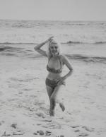 2017-03-27-Marilyn_through_the_lens-lot75