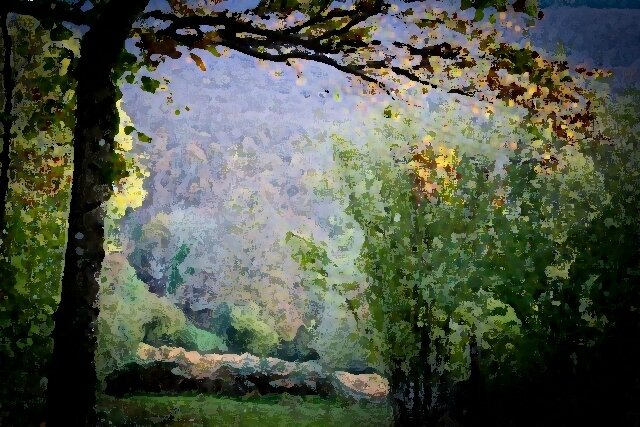IL 171113 forêt d'automne peinture à sec