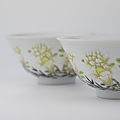 A fine pair of famille rose magnolia blossom bowls, four character Xu Hua Tang Zhi marks, Kangxi-<b>Daoguang</b> <b>period</b>