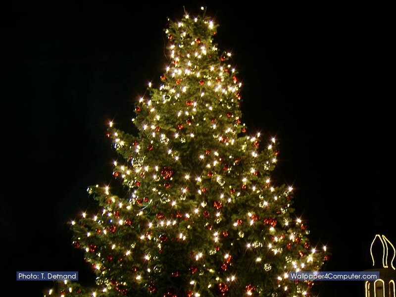 xmas-e5c02-164424-1584