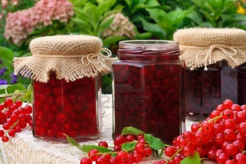 Pots-de-confiture-de-groseilles