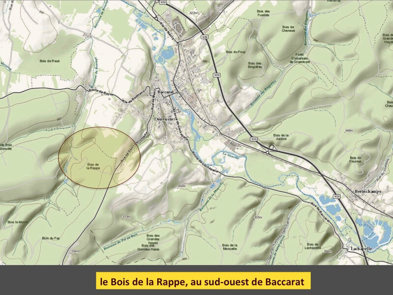 Baccarat, bois de la Rappe, carte légendée