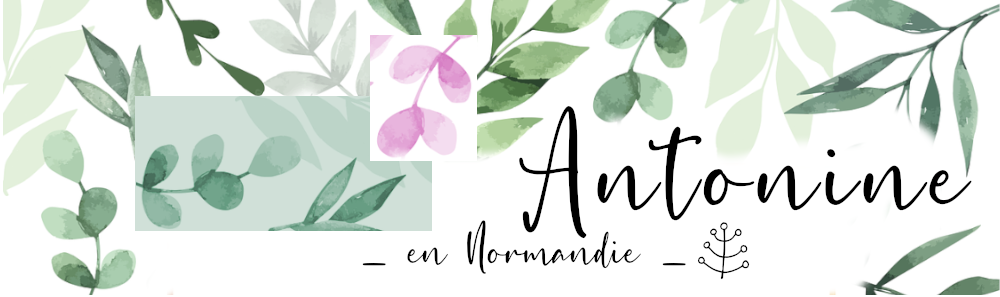 Antonine en Normandie