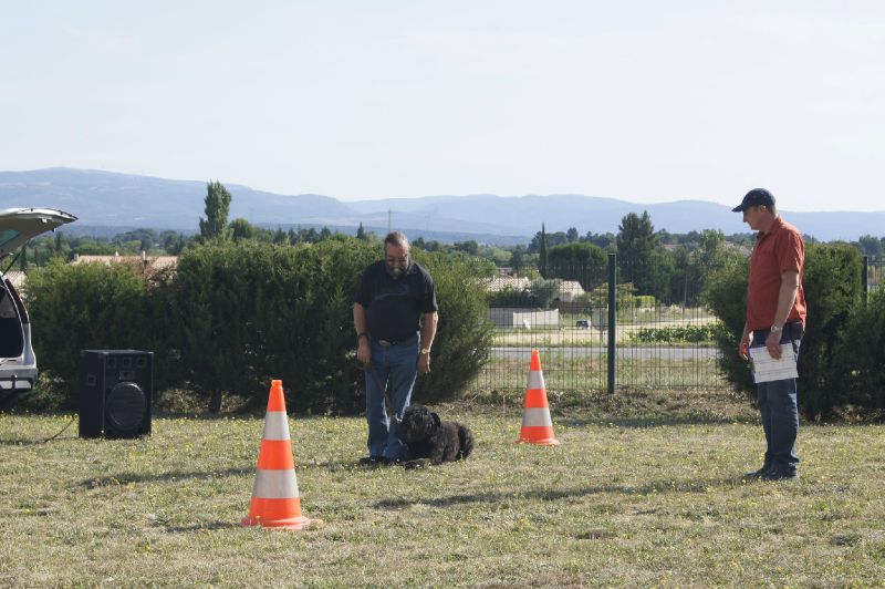 ELSIE DE LA DULLAGUE ET DENIS EPREUVE D'OBEISSANCE..à LACOMBE  (