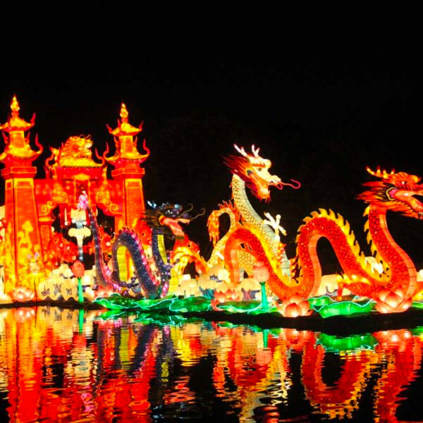 festival_lanternes_gaillac-tarn-feeries-de-chine_lumiere-parc-historique-de-foucaud-1er-decembre-31-janvier-tous-les-jours-18h-23h23-600x600