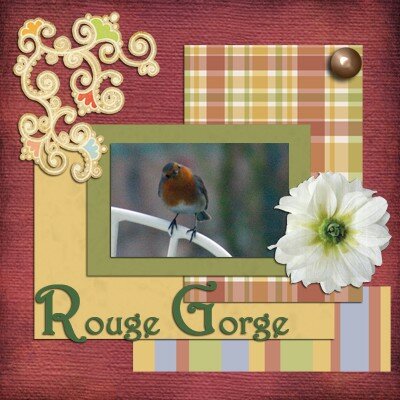 ROUGE_GORGE