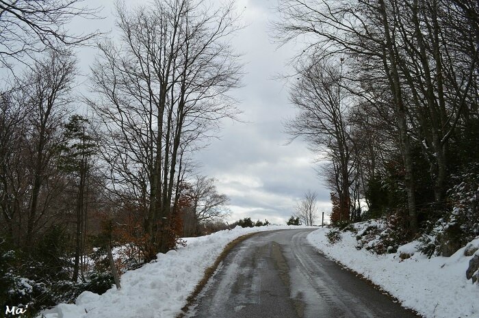 180204_limouches_10