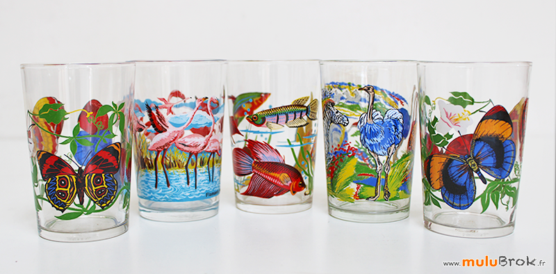 VERRES-Oiseau-Papillon-Oiseau-1-muluBrok-Vintage