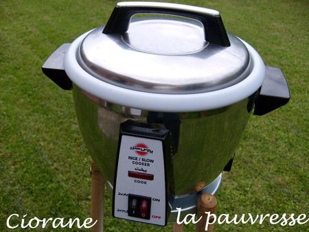 rice_cooker_iranien