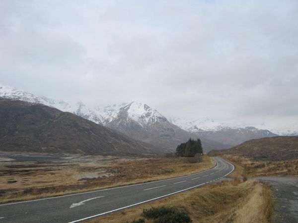 IMG_2374