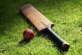 Résultat de recherche d'images pour "cricket"