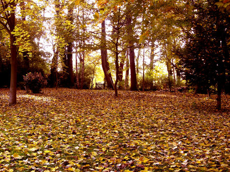 automne5