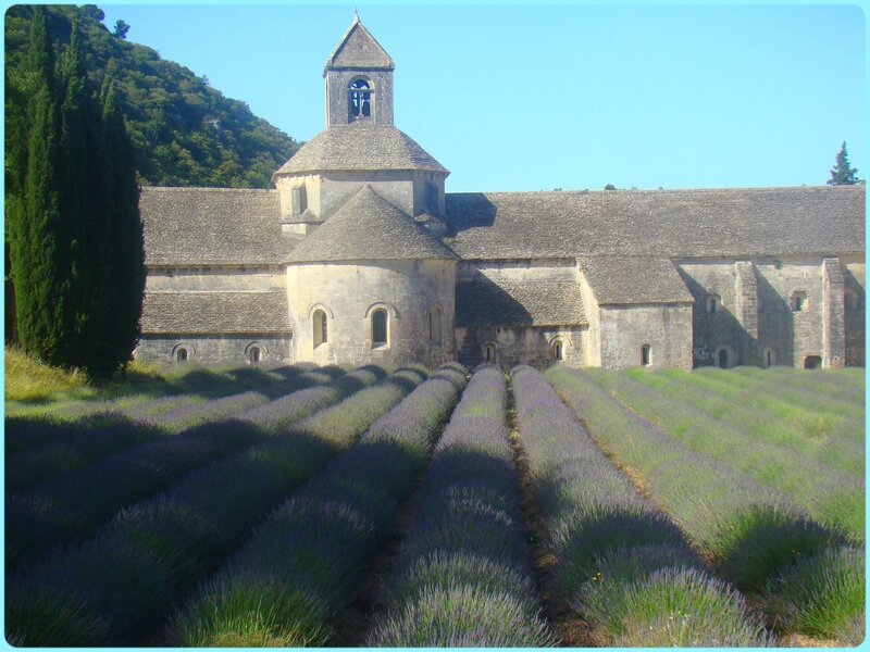 abbaye_senanque_3