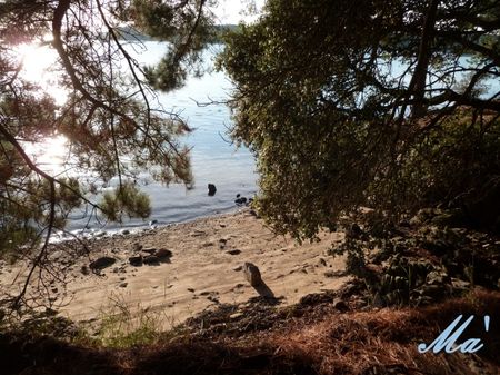 golfe_101025