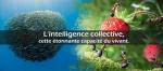 intelligence-collective[1]