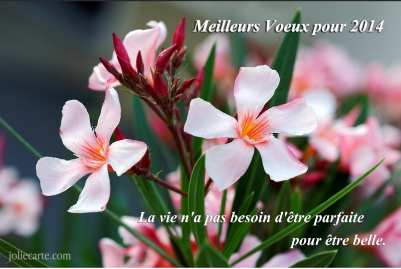 MEILLEURS VOEUX POUR 2014