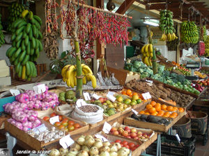 9046_March__Funchal