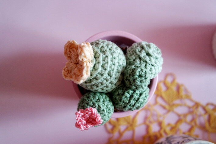 cactus crochet07