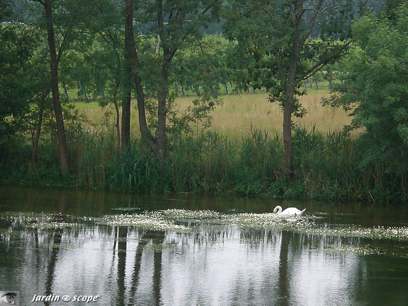 Reflets du Loiret à Saint-Hilaire-st-Mesmin (45)