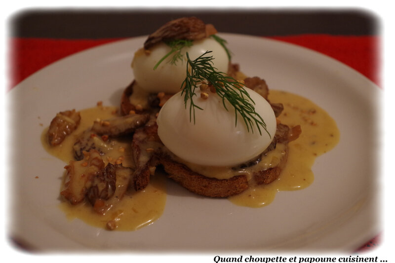 tartines aux morilles à l'oeuf mollet-1208