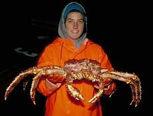 220px-Redkingcrab