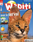 Résultat de recherche d'images pour "wapiti magazine"