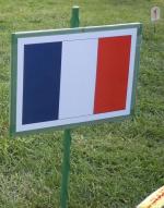 2011 08 HG 110 marque drapeau français