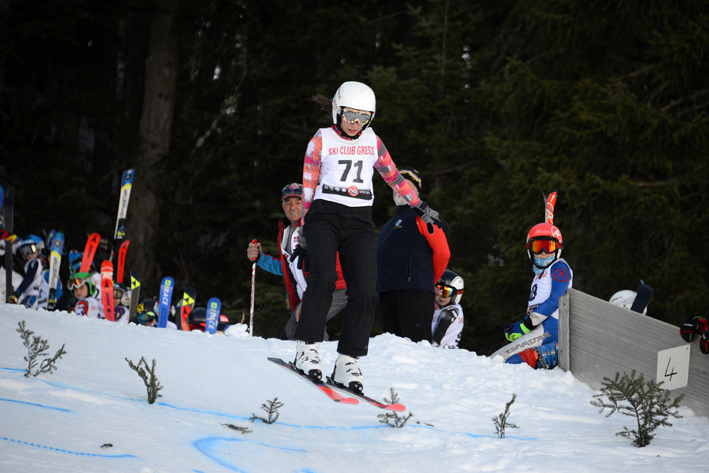 DSC_3063 (2)