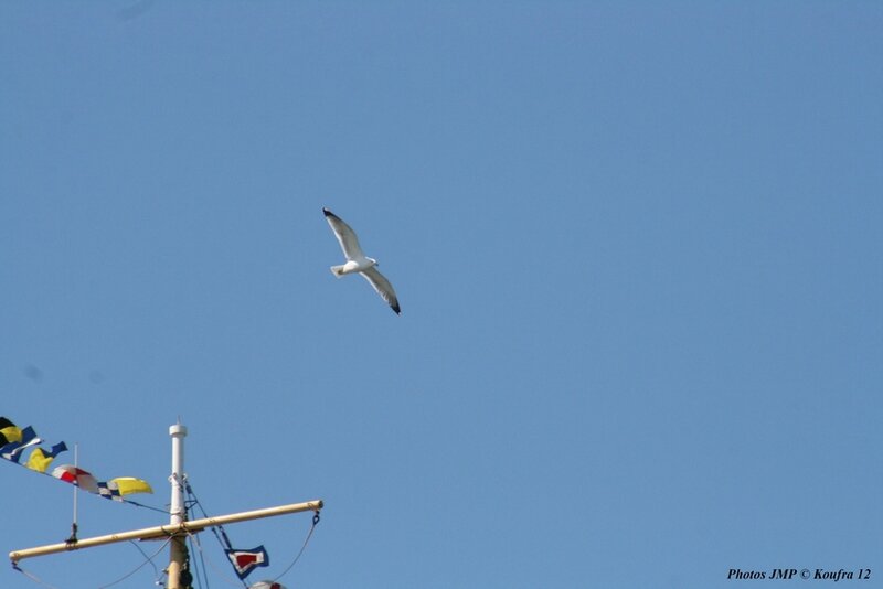 Photos JMP - Sète Blog 20140419 - 083