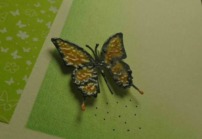 detailpapillon