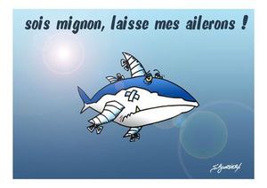 Requin bandage