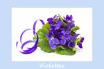 Violettes-1C-Fotolia_141667925_XS