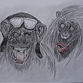 <b>Dessin</b> <b>crayon</b> divers: Monkey...Monkey l'aviateur...