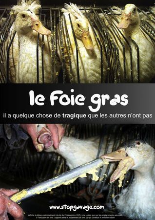 foie_gras_pmaf2