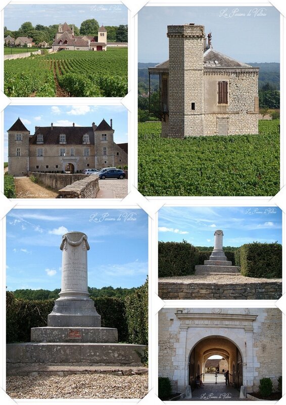 CLOS VOUGEOT1