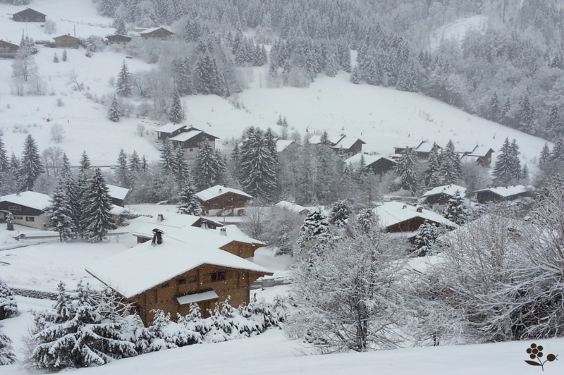 Chalets sous la neige_1